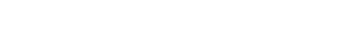 Arrizo 5