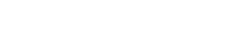 Tiggo 4